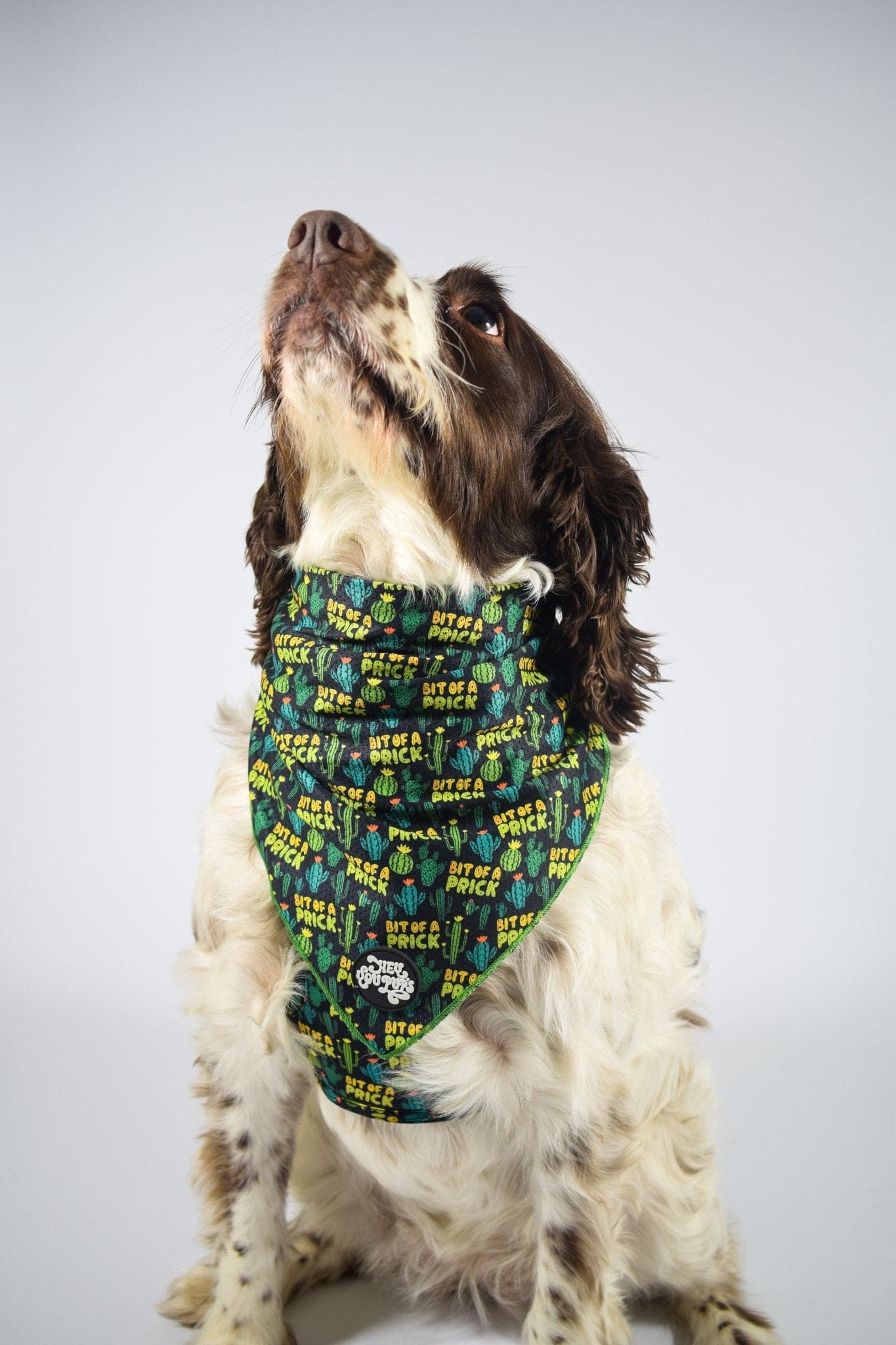 Bit of a pr**k bandana