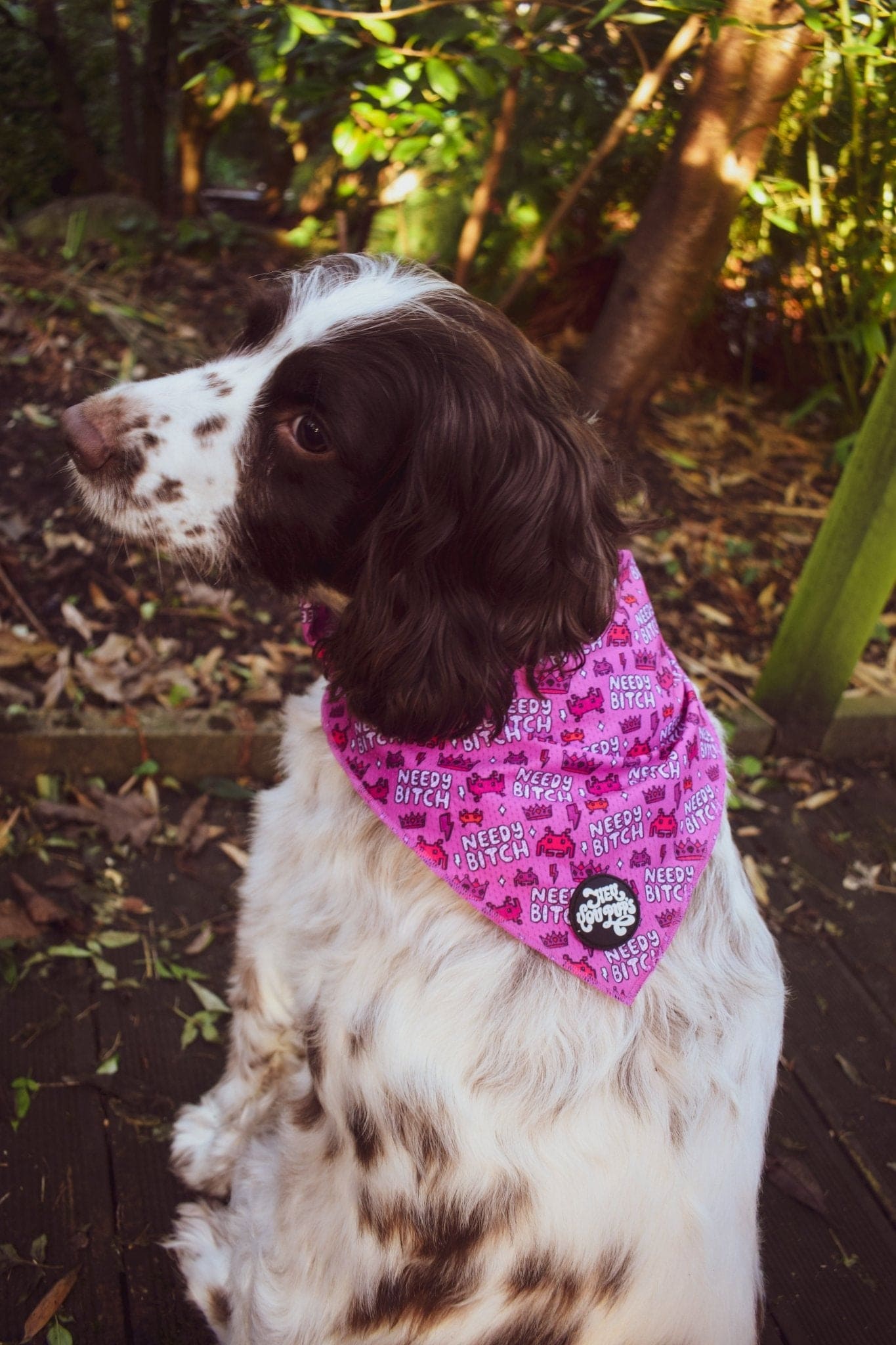 Needy bitch bandana - Hey You Pups