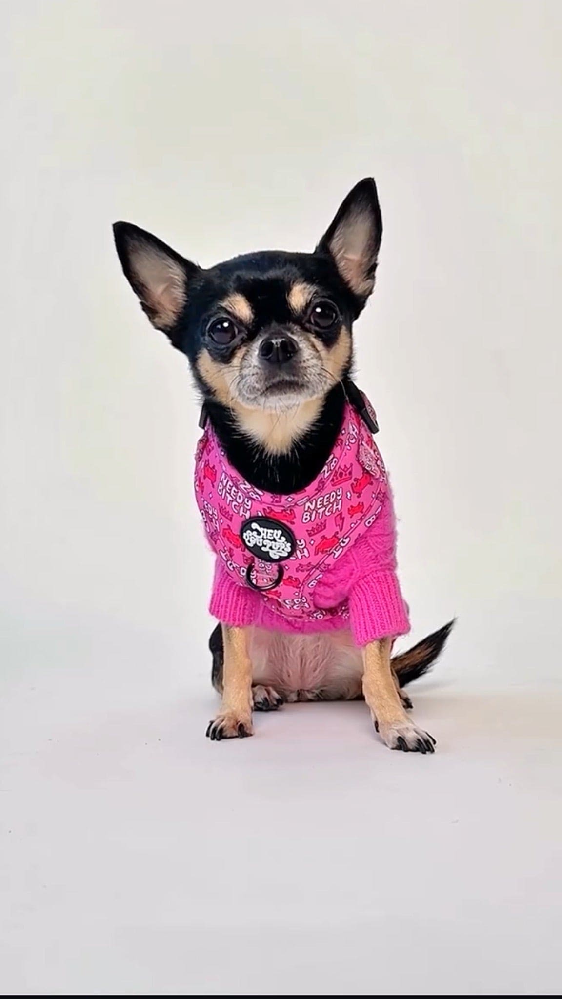 Needy bi**h harness