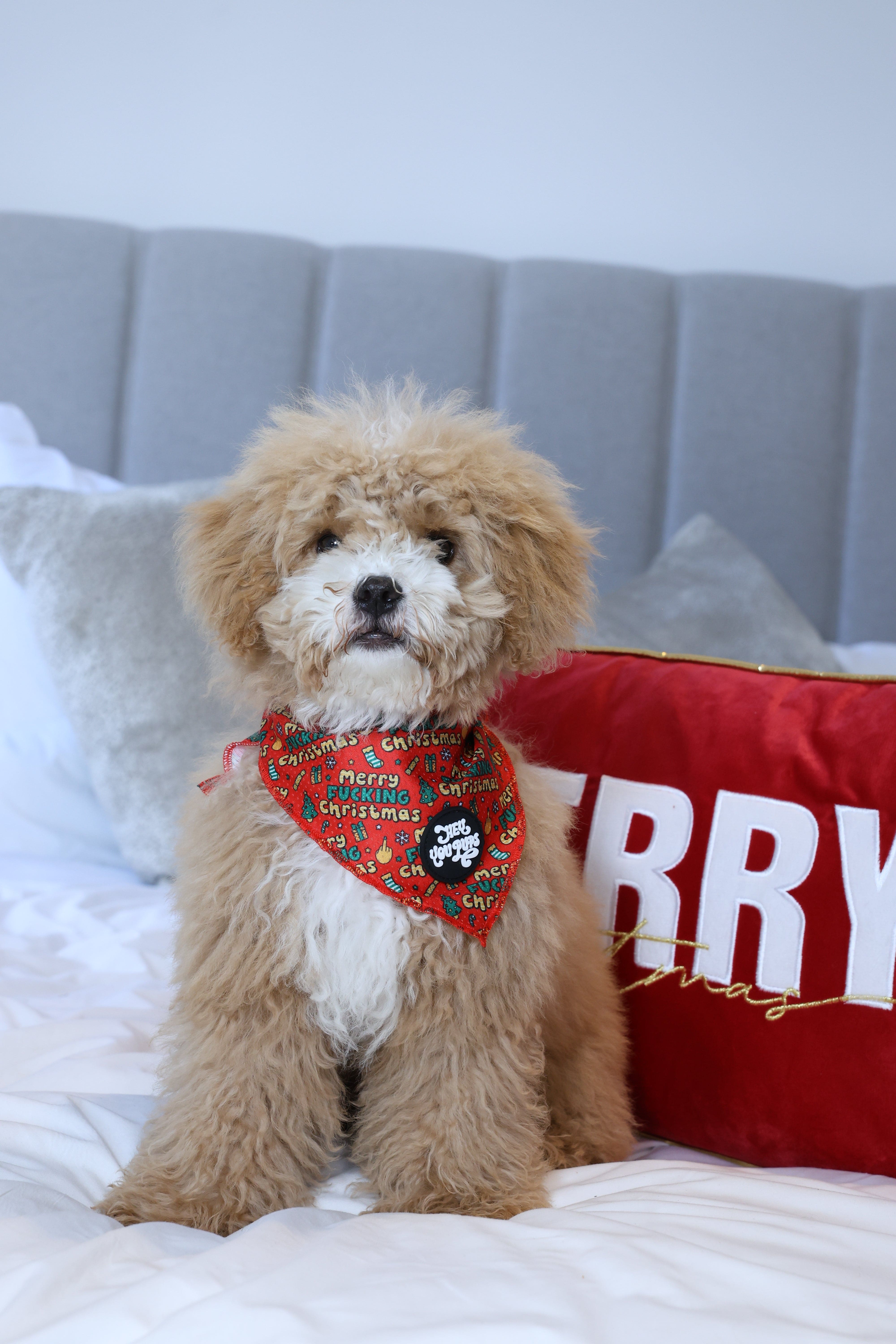 Merry F****g Christmas Bandana