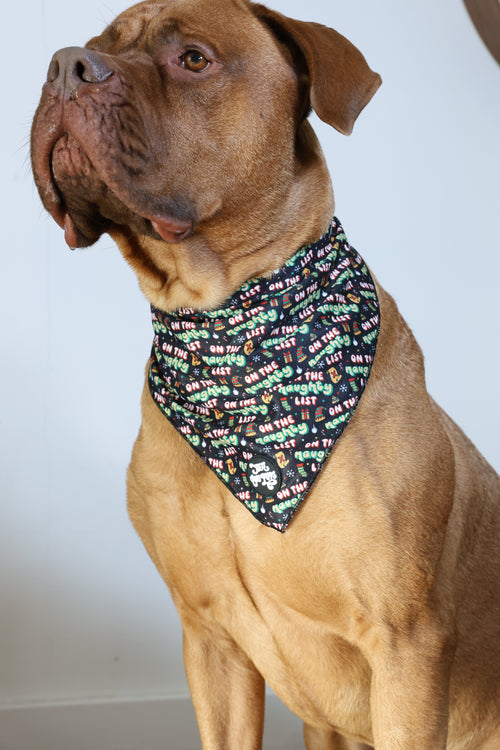 On the naughty list Bandana