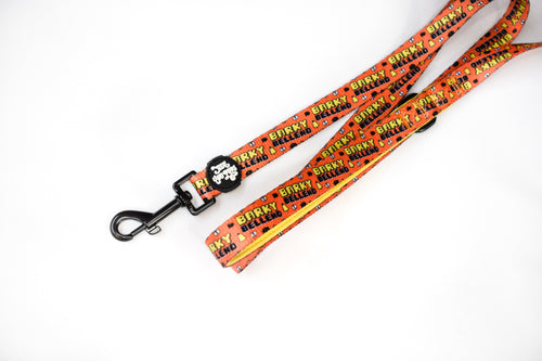 Barky Bell*nd lead