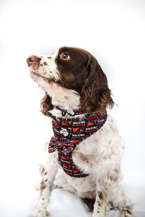 Walking red flag harness
