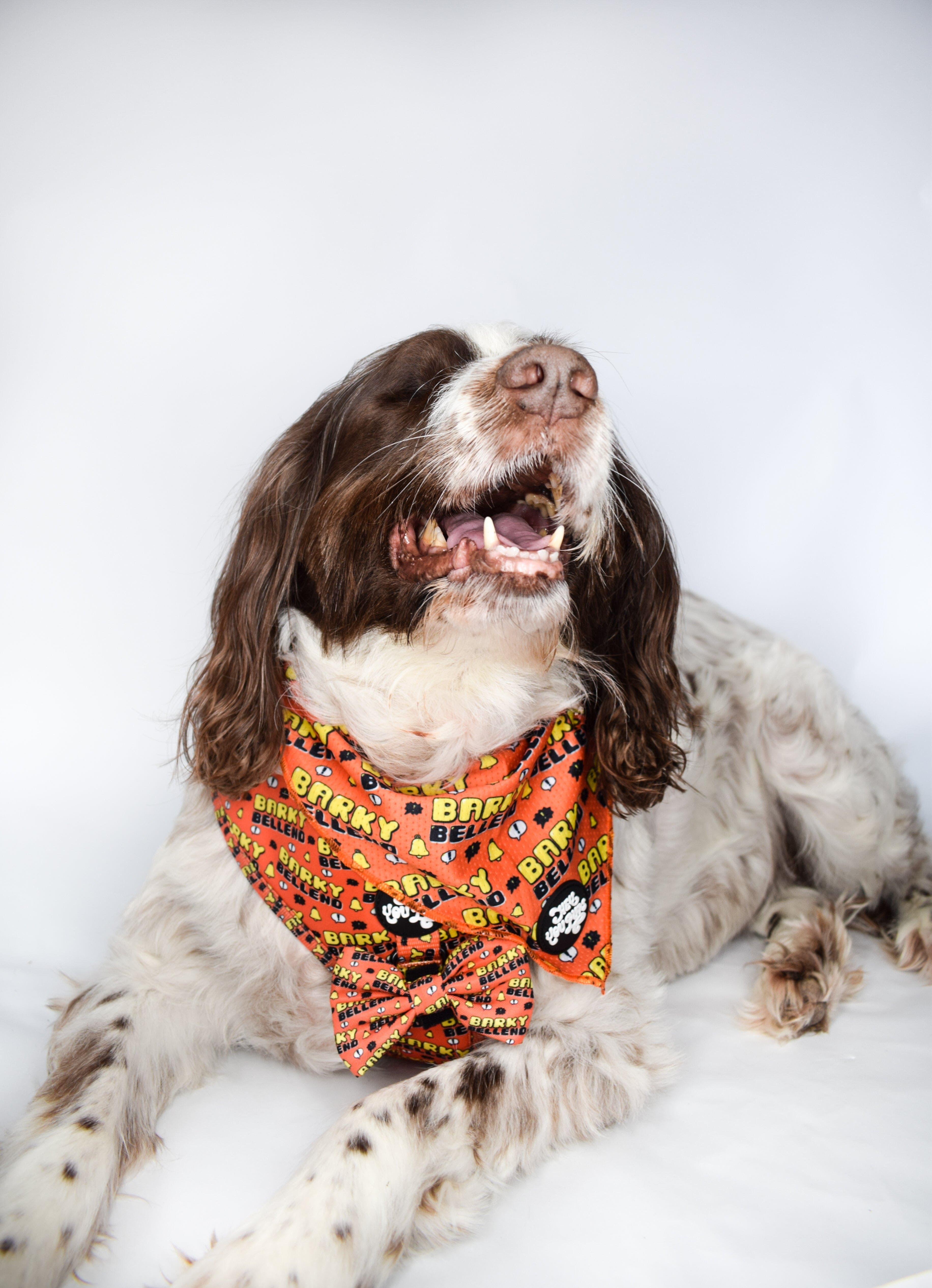 Barky Bell*nd Bandana