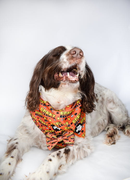 Barky Bell*nd Bandana