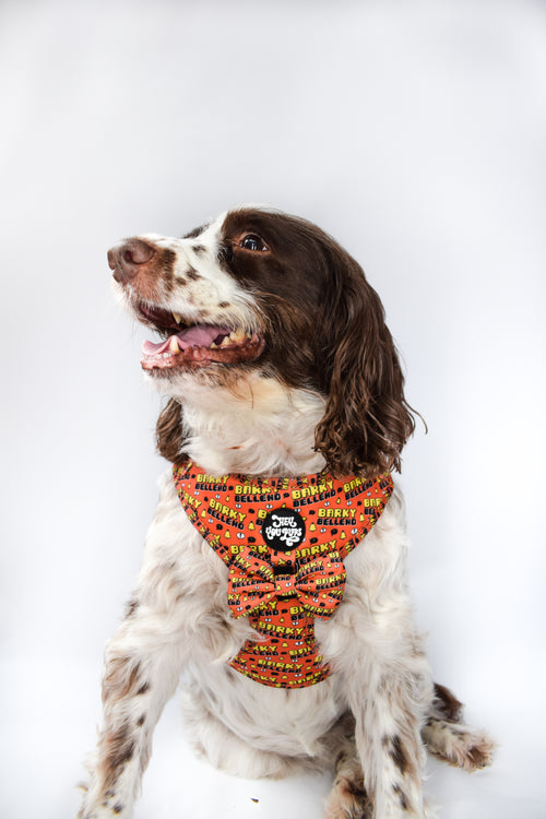 Barky Bell*nd harness