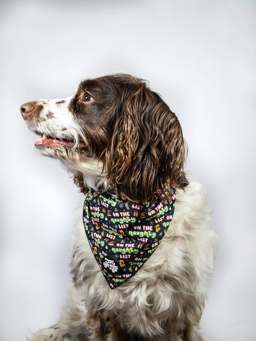 On the naughty list Bandana
