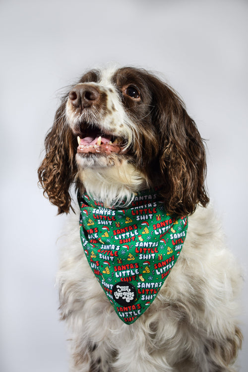 Santas little sh**t Bandana