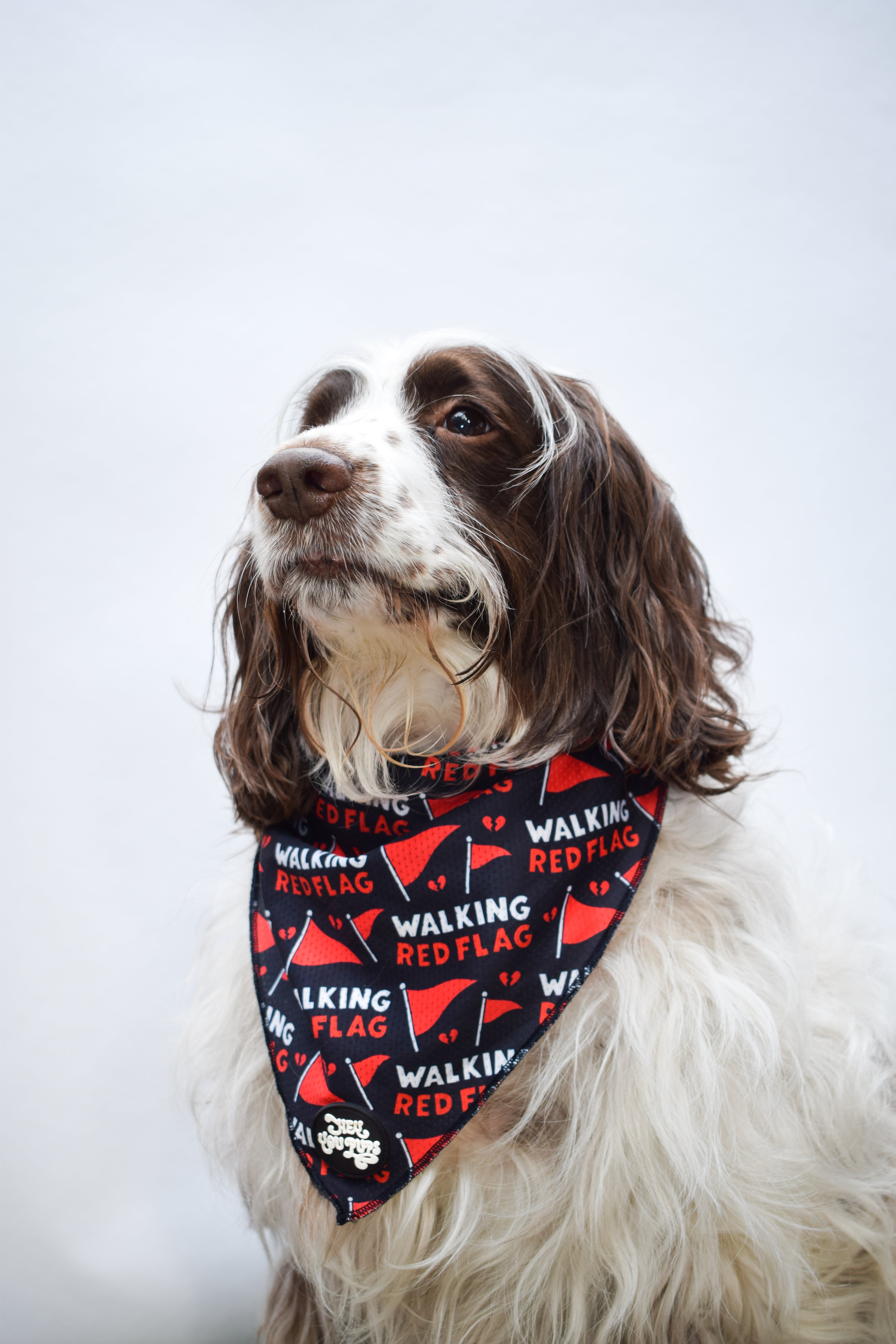 Walking red flag bandana