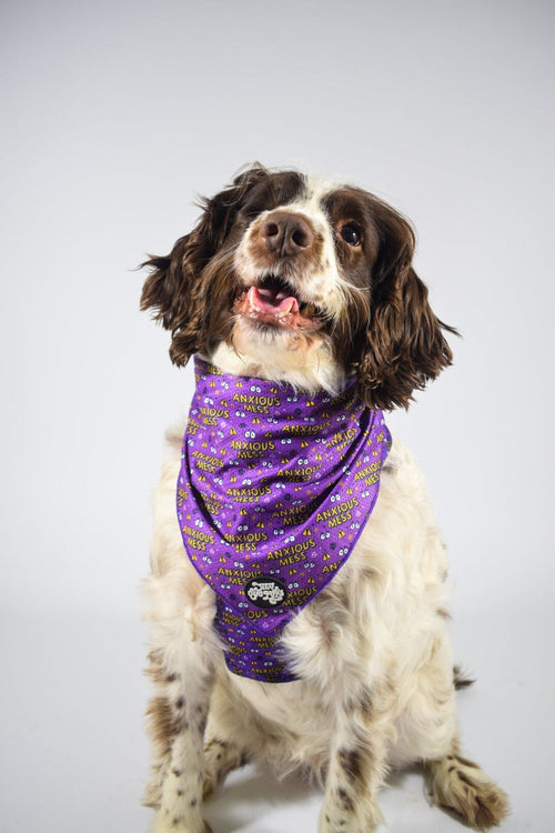 Anxious mess bandana - Hey You Pups