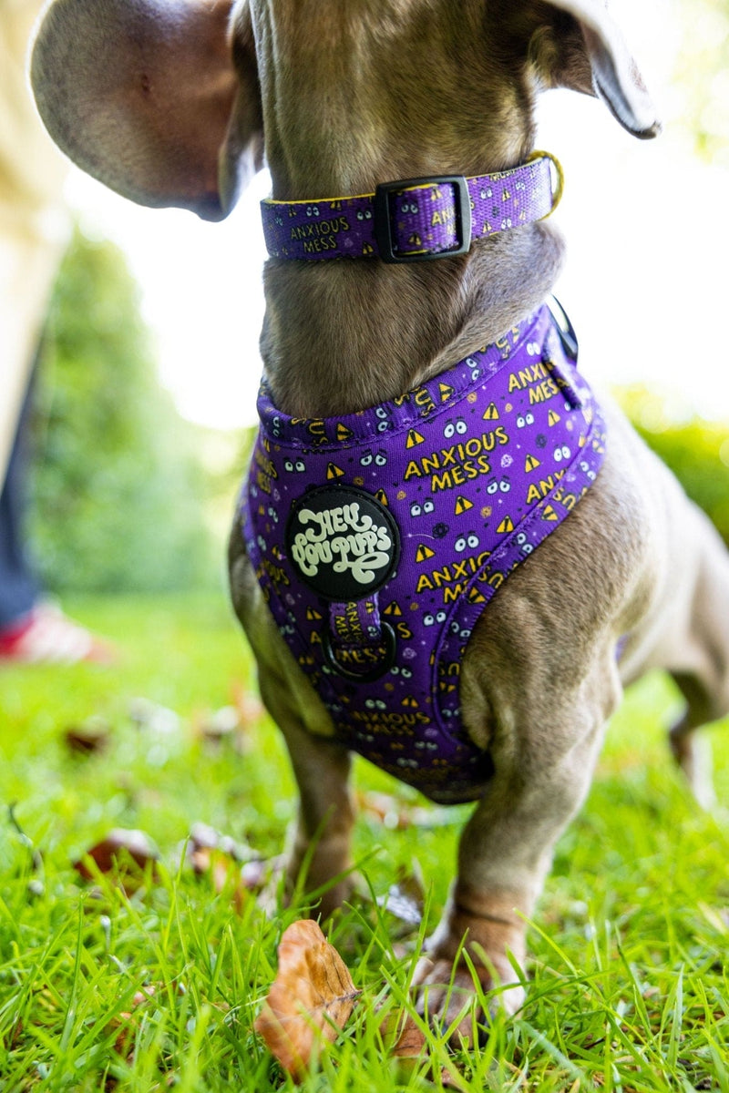 Anxious mess harness - Hey You Pups