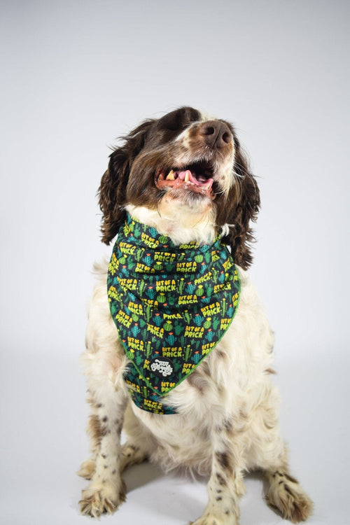 Bit of a prick bandana - Hey You Pups