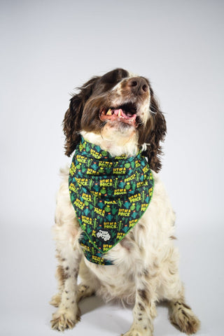 Bit of a pr**k bandana