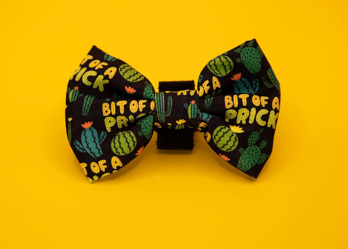 Bit of a prick bow tie - Hey You Pups