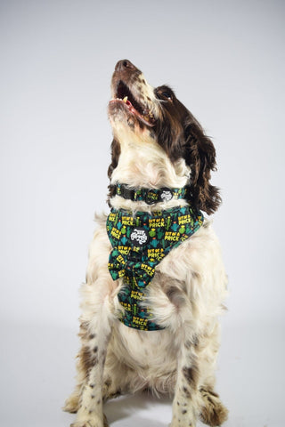 Bit of a pr**k harness