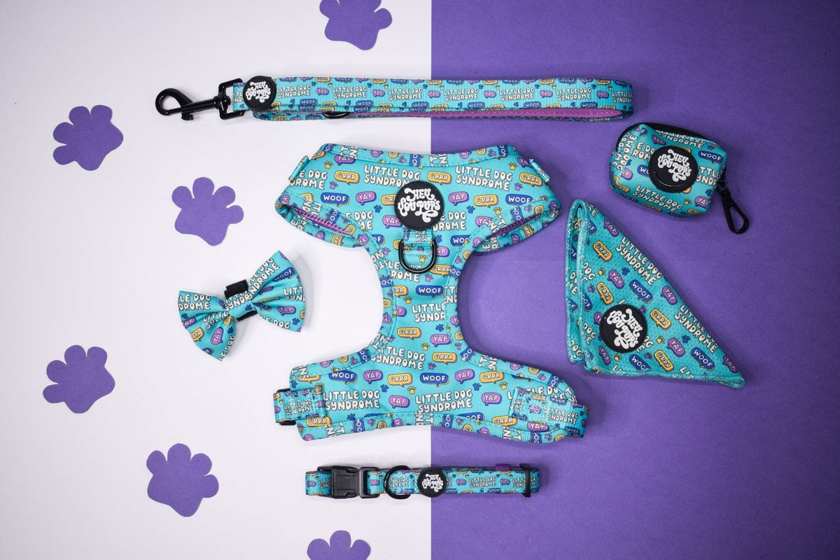 Little dog syndrome bow tie - Hey You Pups