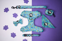 Little dog syndrome bow tie - Hey You Pups