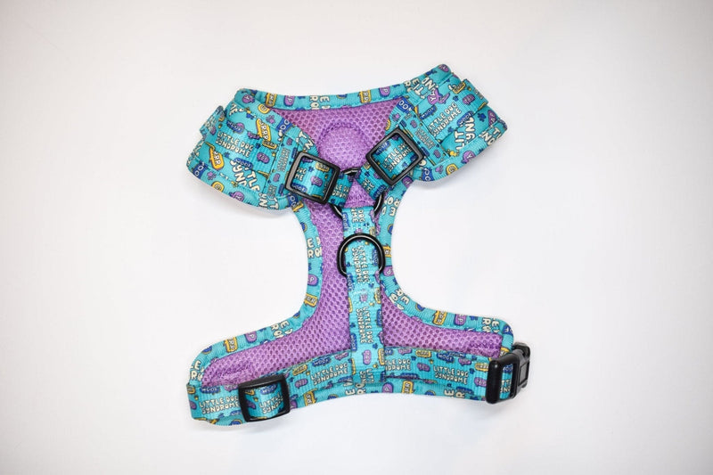 Little dog syndrome harness - Hey You Pups