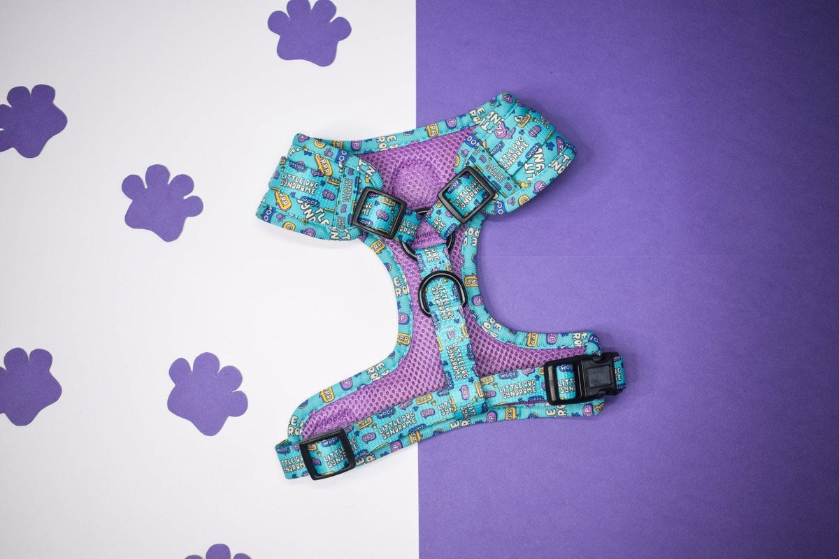 Little dog syndrome harness - Hey You Pups