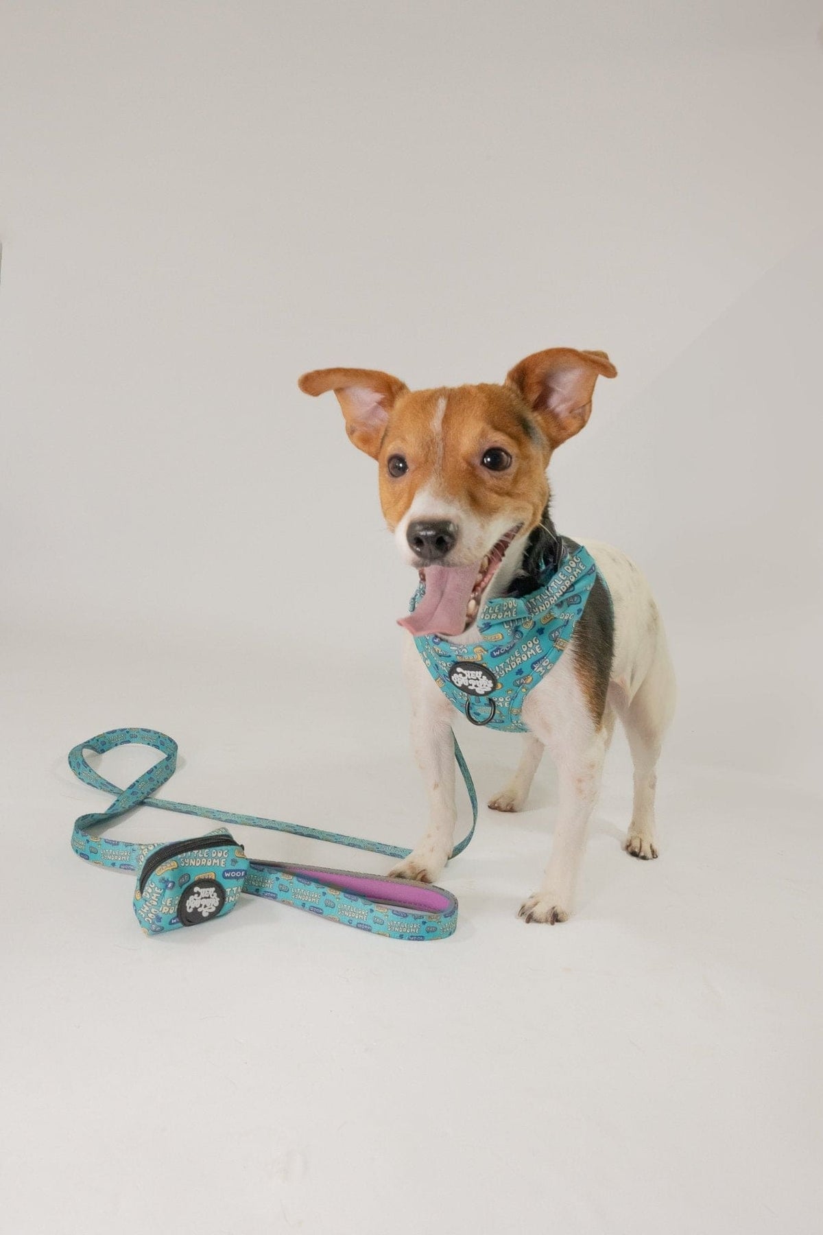 Little dog syndrome harness - Hey You Pups